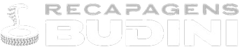 Recapagens Budini